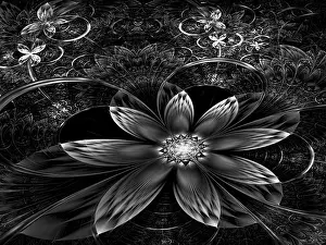 Digitale Kunst Drucke: Fraktalblume - abstrakte computer-generierte Abbildung.