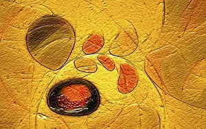 Filling The Format Images Drucke: Fractal graphics, abstract