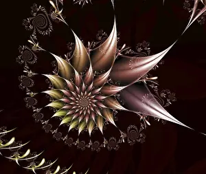 Digitally Generated Images Drucke: Fractal object