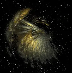 Fractal Object Drucke: Fractal object