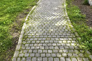 Bilder Datiert 22. Juni 2024: Ein Fragment eines Steigwegs unter dem Gras.