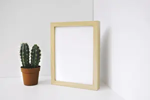 Prickly Succulent Plant Drucke: Frame cactus corner