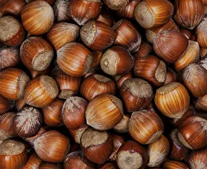 Flat Lay View From Above Drucke: Full Frame of organic hazelnuts with nutshell