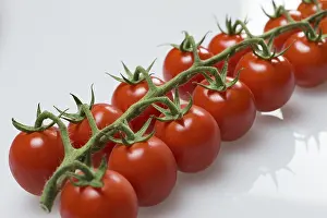 Food Photography Studio Shots Drucke: French vine tomatoes