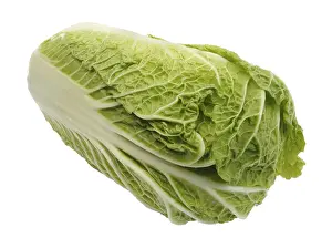 Bright Background Food Images Drucke: Fresh Beijing cabbage on a white background
