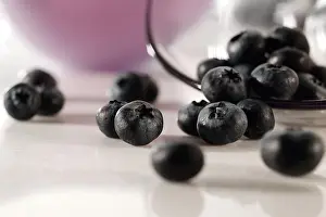 Food Photography Studio Background Drucke: Fresh blueberries