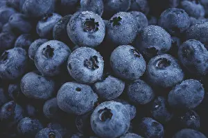 Bilder Datiert 11. August 2024: Frische Blaubeeren, Vollformat, auf dem Tisch.
