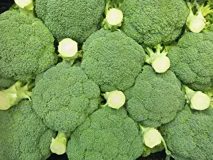 Fresh Broccoli Drucke: Fresh broccoli