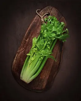 Dark Background Vegetables Drucke: Fresh bunch of celery, top view