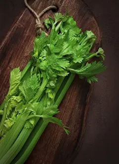 Dark Background Vegetables Drucke: Fresh bunch of celery, top view