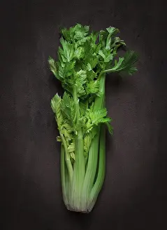 Dark Background Celery Drucke: Fresh bunch of celery, top view