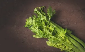 Top View Drucke: Fresh bunch of celery, top view