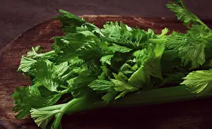 Fresh Celery Drucke: Fresh bunch of celery, top view