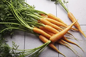 Studio Shot Vegetables Drucke: Fresh carrots