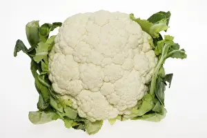 Cauliflower Nutrition Drucke: A fresh cauliflower, vegetable