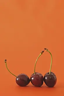 Stone Fruit Nutrition Drucke: Three fresh cherries