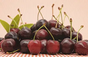 Fresh Cherries Drucke: Fresh cherries