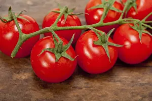 Fresh Cherry Tomatoes Drucke: Fresh cherry tomatoes on a cluster over rustic wood table