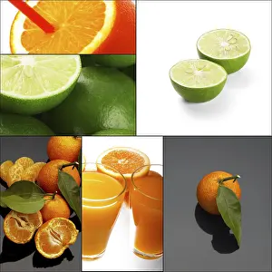 Fresh Citrus Fruits Collage Drucke: Fresh citrus fruits collage composition nested on a square frame