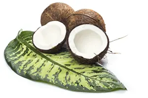 Uninhabited Island Scene Drucke: Fresh coconuts and green tropical leaf