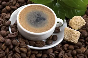 Caffeine Rich Coffee Beans Drucke: Fresh coffee with coffee branch