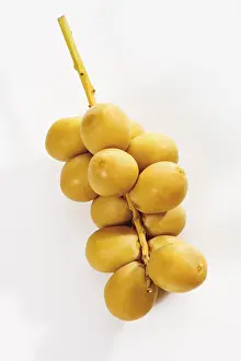 Studio Shot Of Dates Drucke: Fresh dates