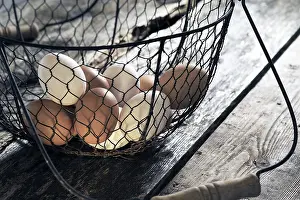 Food Photographies Drucke: Fresh eggs in a basket