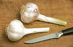 Vegan Food Ingredients Drucke: Fresh garlic
