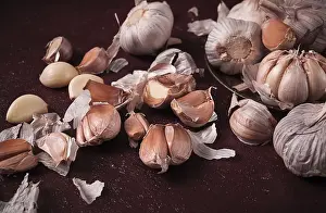 Close Up Garlic View Drucke: Fresh garlic, on a dark background