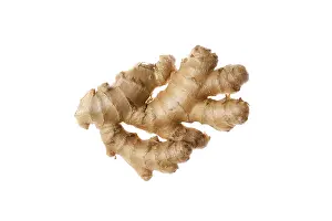 Fresh Ginger Root Drucke: Fresh ginger root isolated on white background