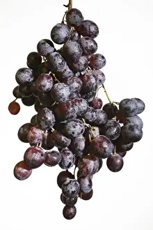 Studio Shot Fruit Photography Drucke: Fresh grapes