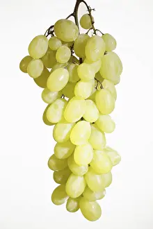 Studio Shot Fruit Photography Drucke: Fresh grapes