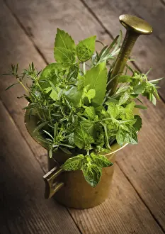 Medicinal Plant Spice Drucke: Fresh herbs in the copper mortar on the table
