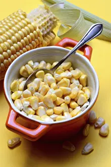 Fresh Corn Drucke: Fresh maize kernels in pots and cobs