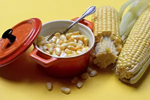 Fresh Corn Drucke: Fresh maize kernels in pots and cobs