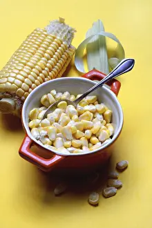 Sweet Corn Photography Drucke: Fresh maize kernels in pots and cobs