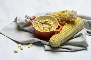 Fresh Maize Kernels Drucke: Fresh maize kernels in pots and cobs