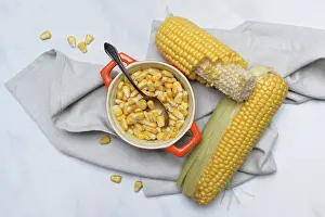 Fresh Corn Drucke: Fresh maize kernels in pots and cobs