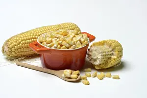 Fresh Corn Drucke: Fresh maize kernels in pots and cobs