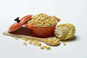 Fresh Corn Drucke: Fresh maize kernels in pots and cobs