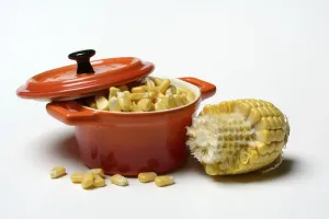 Fresh Maize Kernels Drucke: Fresh maize kernels in pots and cobs