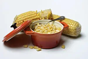 Fresh Maize Kernels Drucke: Fresh maize kernels in pots and cobs