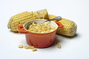 Fresh Corn Drucke: Fresh maize kernels in pots and cobs