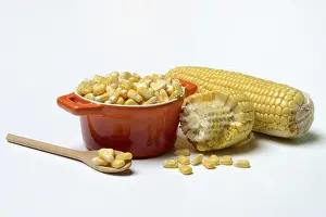 Sweet Corn Nutrition Drucke: Fresh maize kernels in pots and cobs