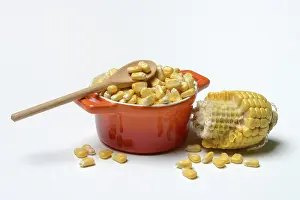 Sweet Corn Nutrition Drucke: Fresh maize kernels in pots and cobs