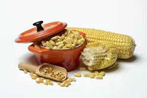 Sweet Corn Nutrition Facts Drucke: Fresh maize kernels in pots and dried maize kernels in scoops