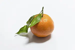 Fresh Mandarin Drucke: Fresh mandarin with leaf on white background