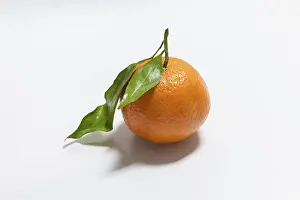 White Background Fruit Images Drucke: Fresh mandarin with leaf on white background