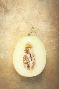 Healthy Eating Fruit Drucke: Fresh melon in section, half melon