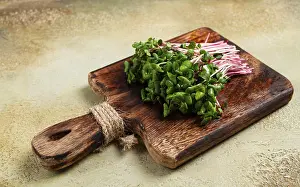 Vegetable Gardening Tips Drucke: Fresh micro-greens, beetroot sprouts